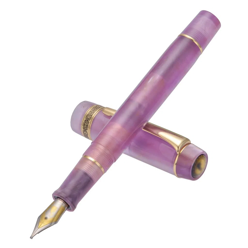 Stylo plume, belle lumière F/plume encre d'écriture bureau école